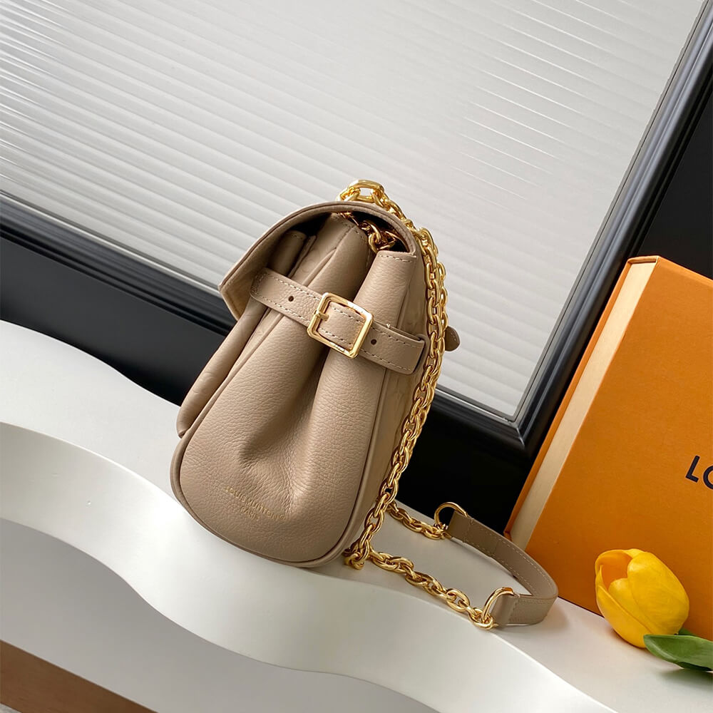 Louis Vuitton Anytime Flap