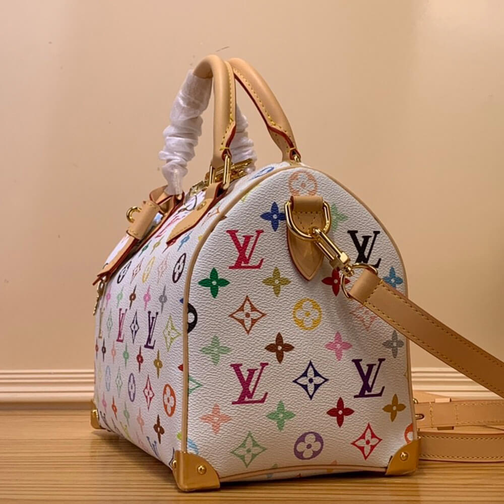 Louis Vuitton x TM Speedy 25