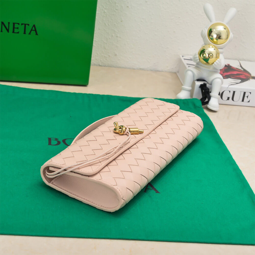 Bottega Veneta Andiamo Clutch