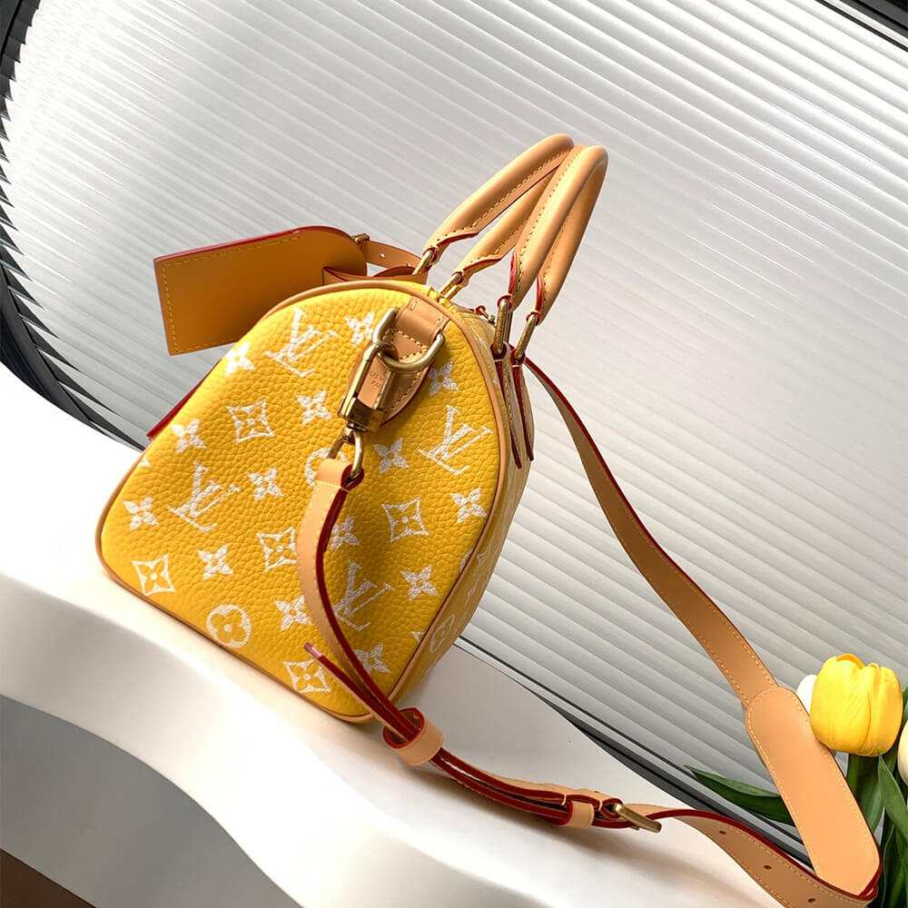 Louis Vuitton Speedy P9 Bandoulière 25