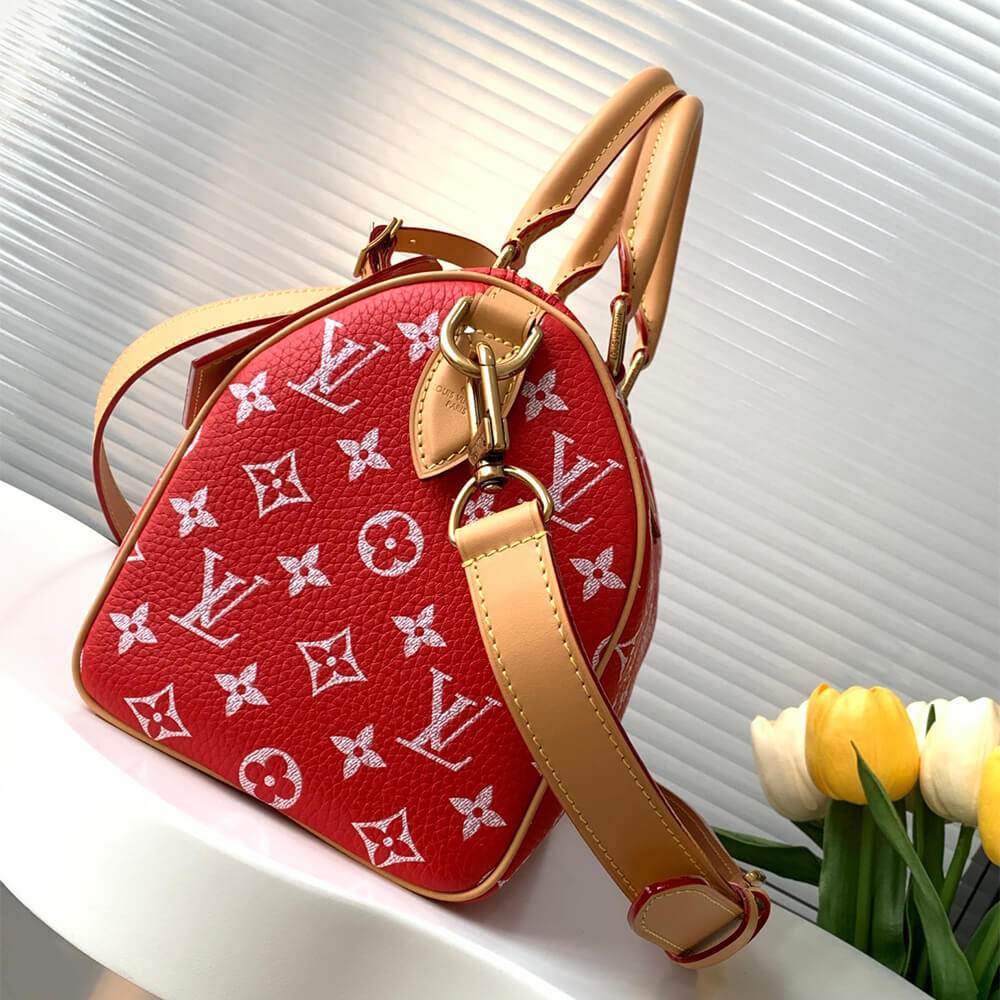Louis Vuitton Speedy P9 Bandoulière 25