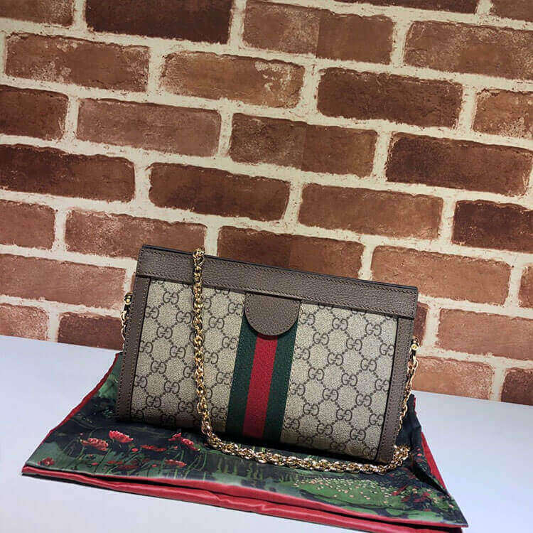 Gucci Ophidia Small