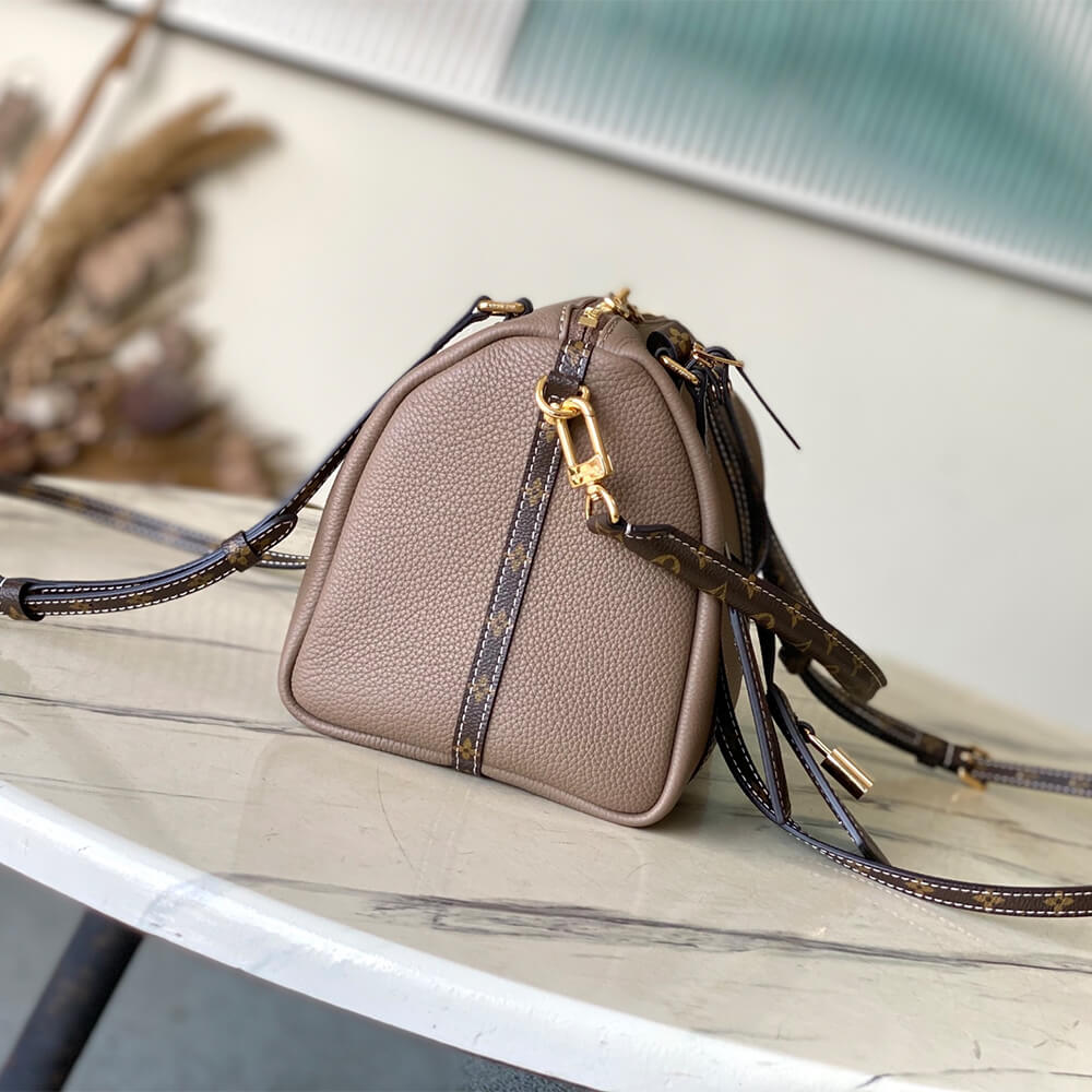 Louis Vuitton Express PM