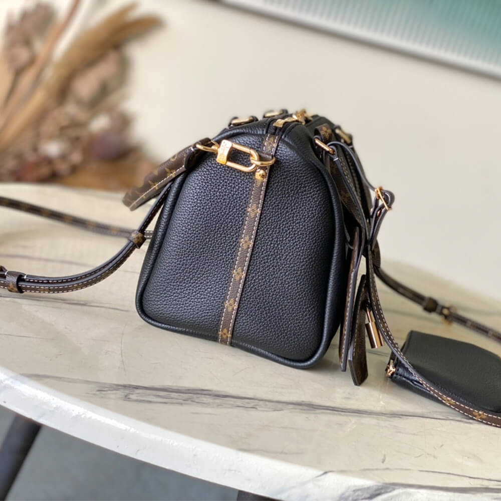 Louis Vuitton Express PM