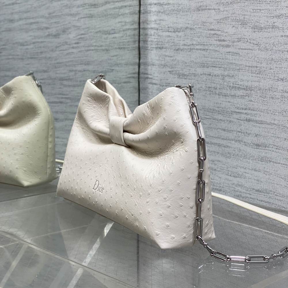 Medium Dior Bow Bag