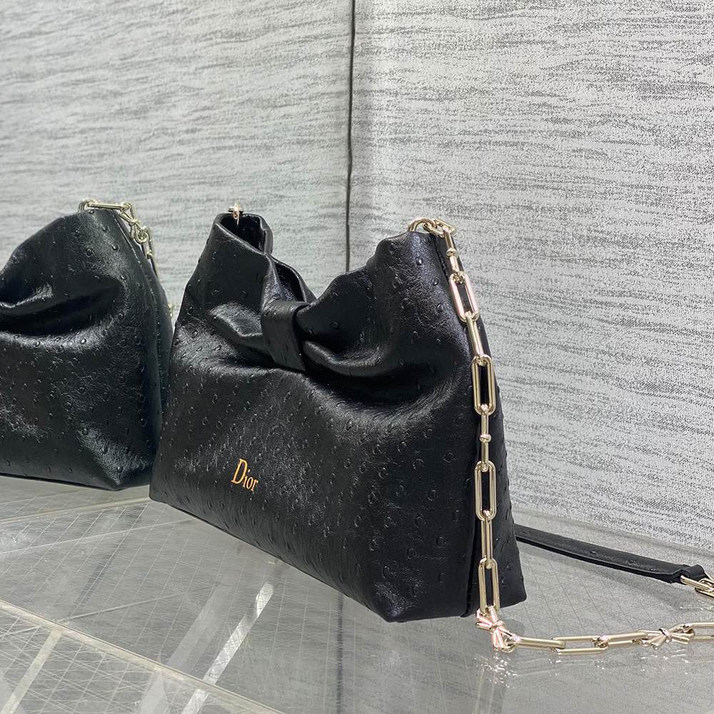 Medium Dior Bow Bag