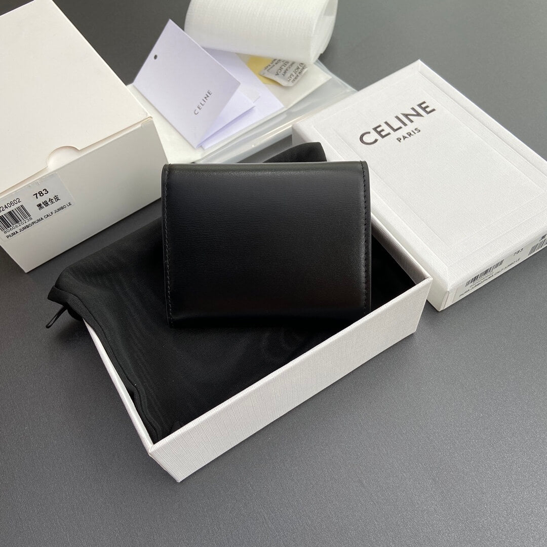 Celine Small Flap Wallet Triomphe