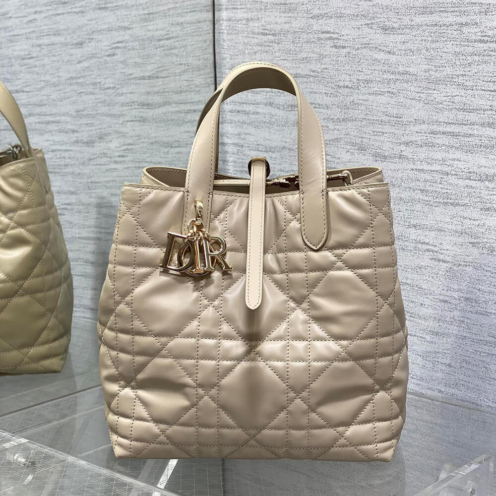 Dior Medium Toujours Vertical