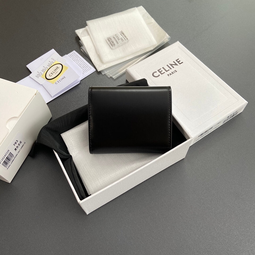 Celine Small Flap Wallet Triomphe