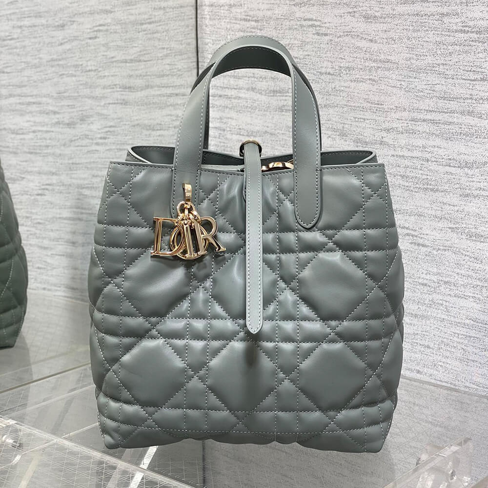 Dior Medium Toujours Vertical