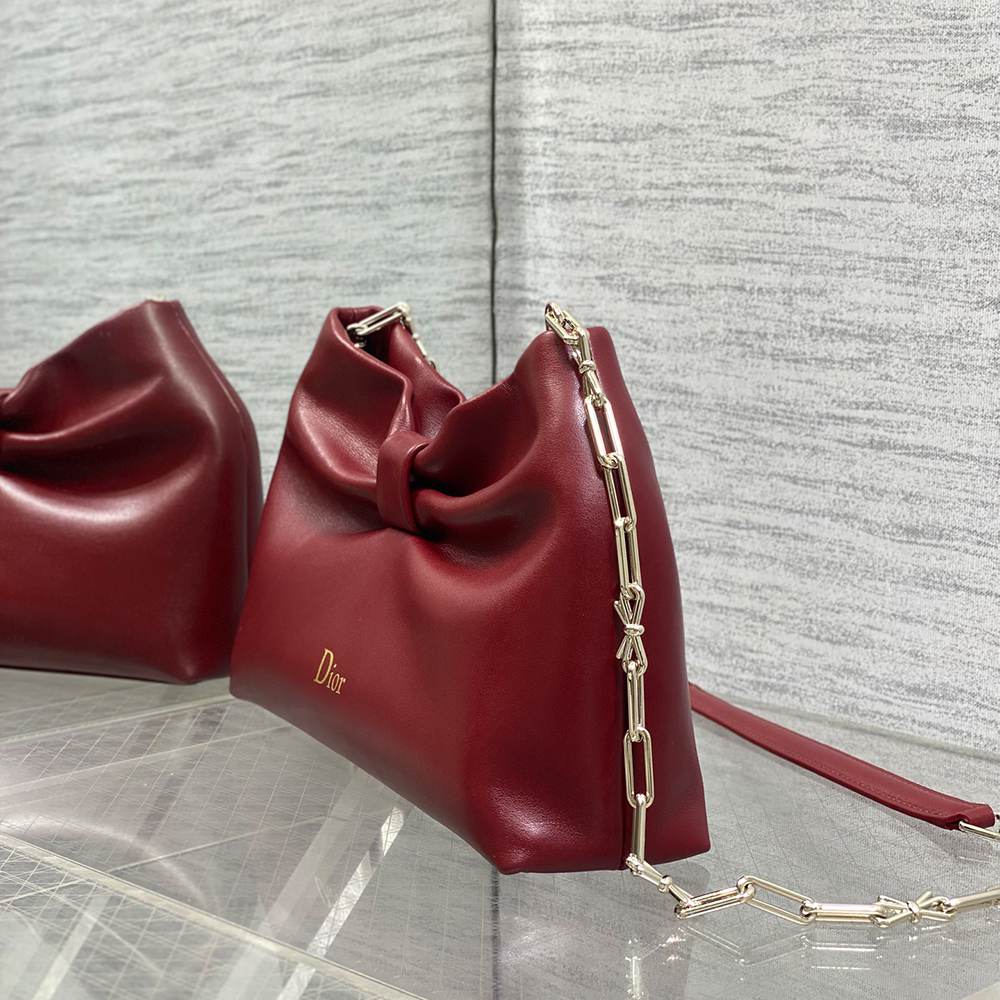 Medium Dior Bow Bag