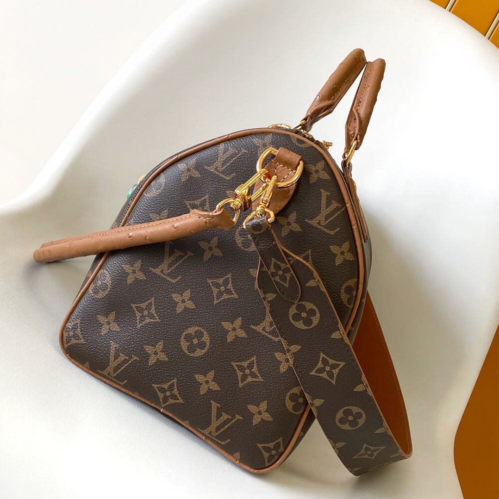 Louis Vuitton Speedy Soft 30