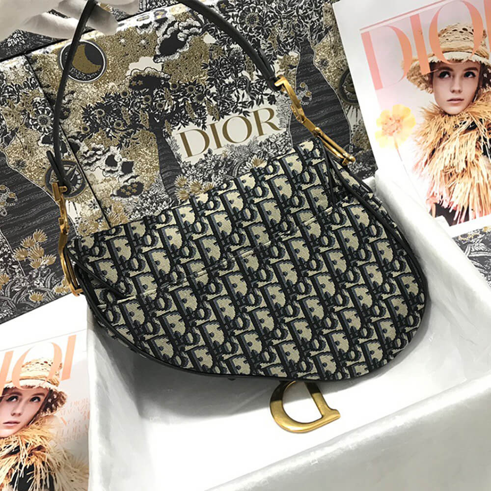 Dior Saddle