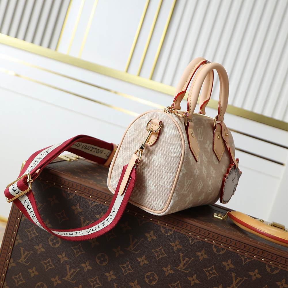 Louis Vuitton Speedy Bandoulière 20