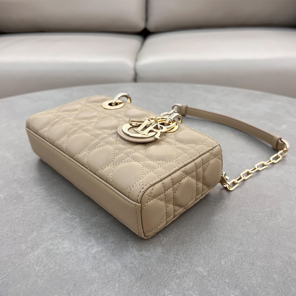 Dior Small Lady D-Joy