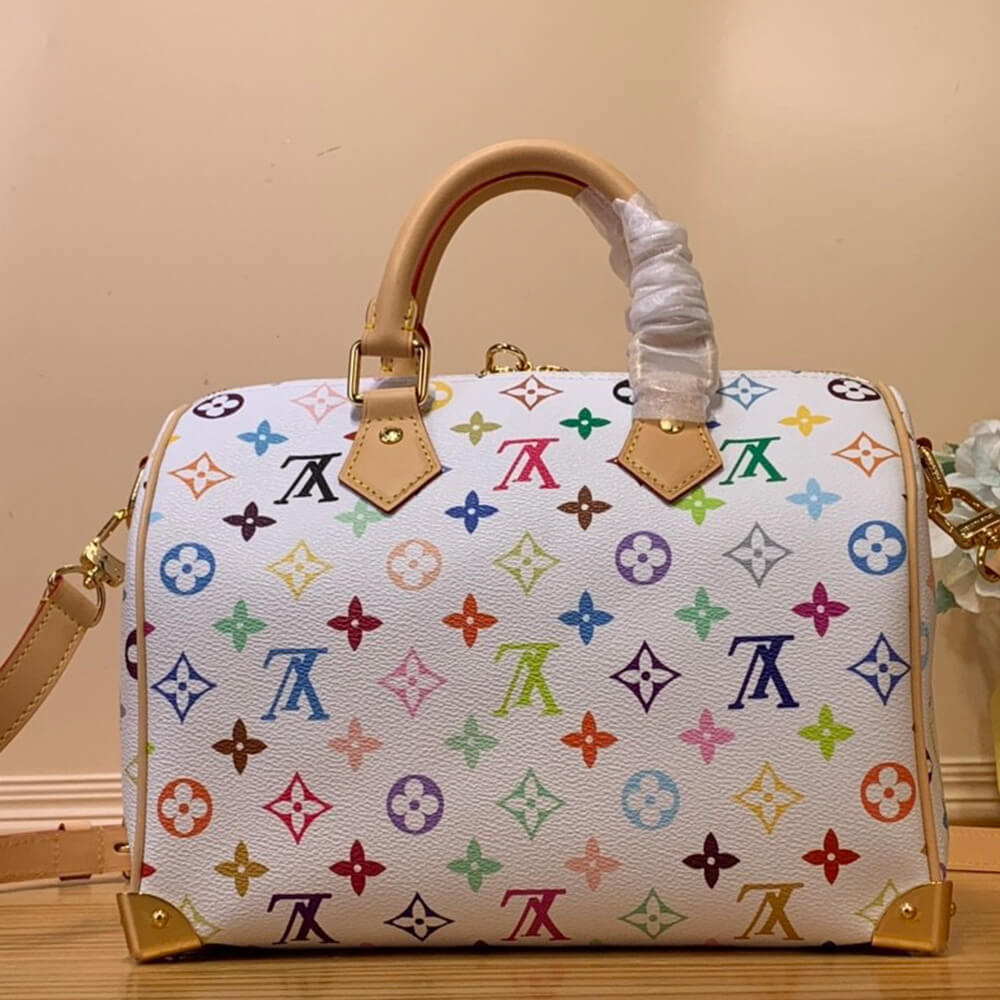 Louis Vuitton x TM Speedy 25