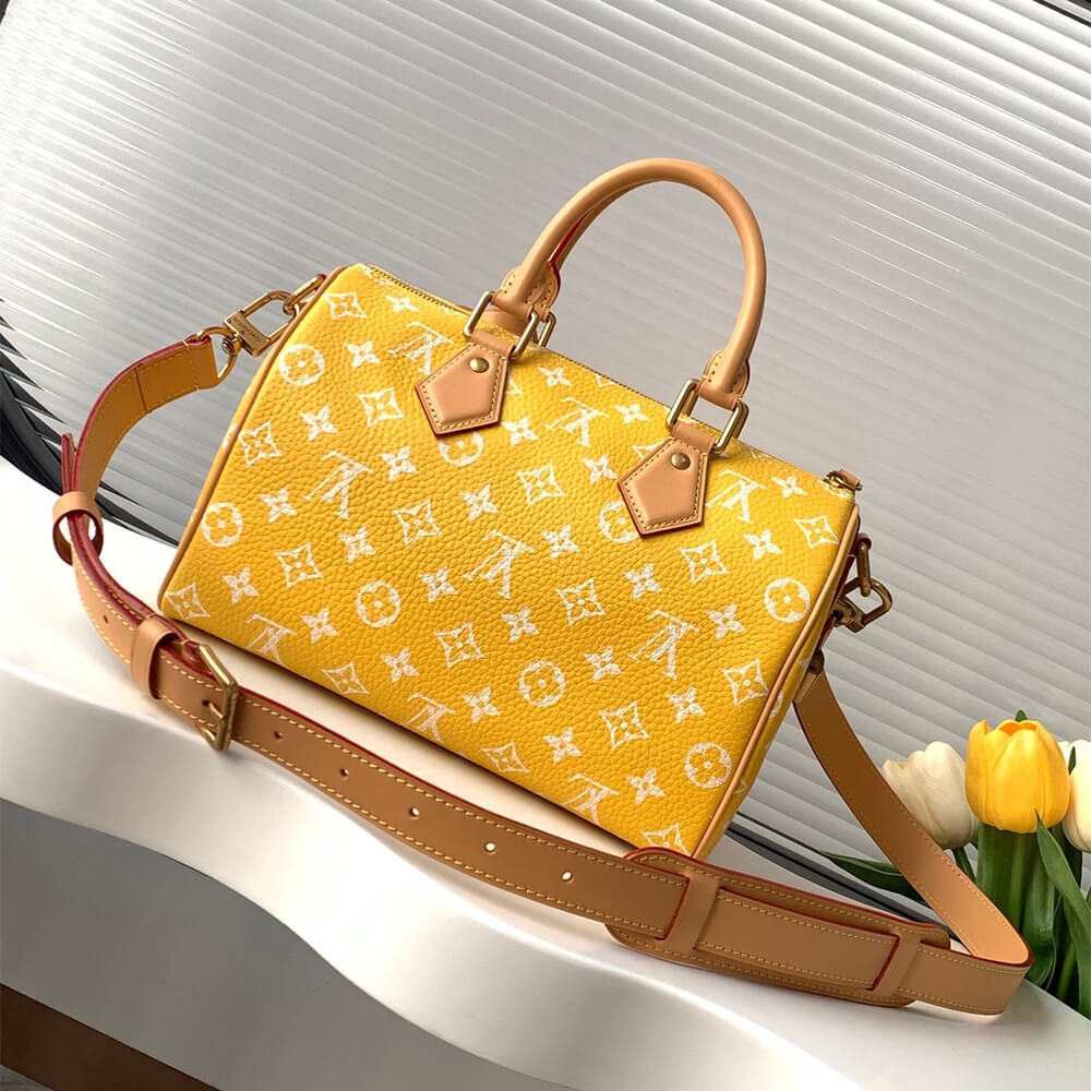Louis Vuitton Speedy P9 Bandoulière 25