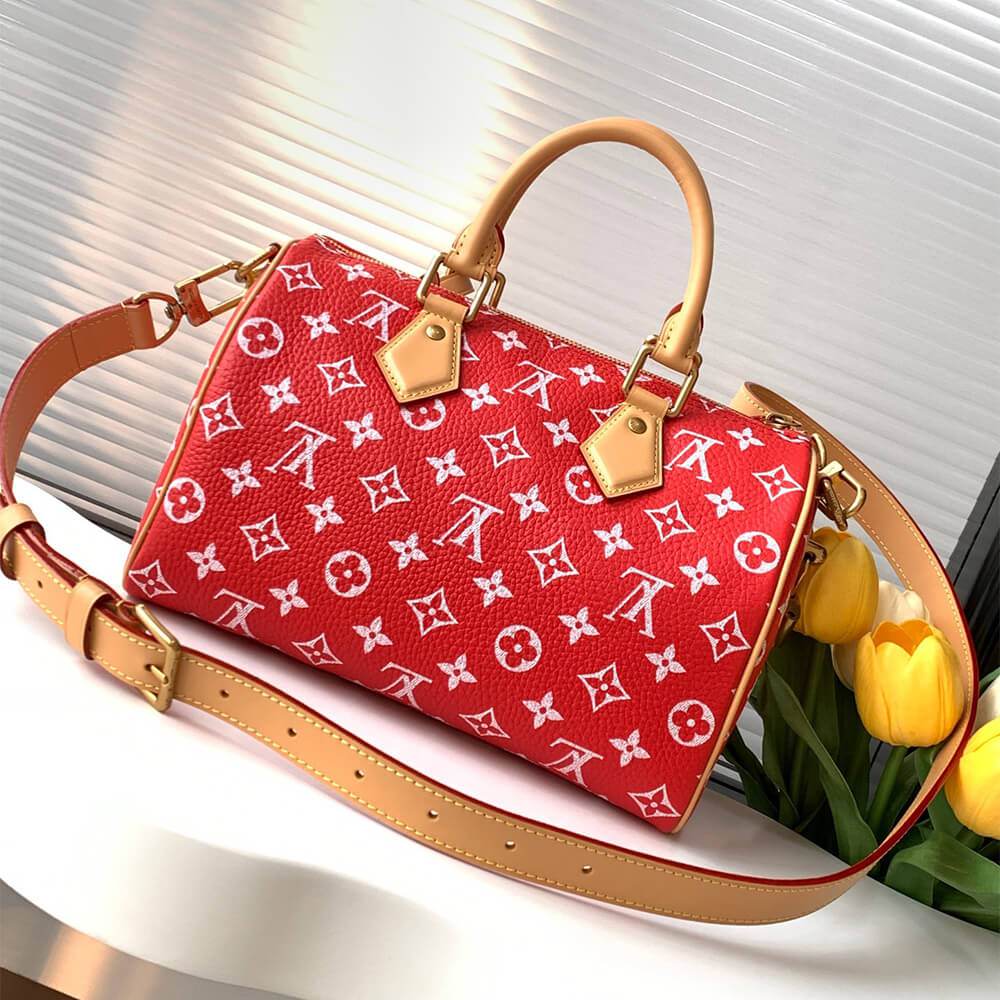 Louis Vuitton Speedy P9 Bandoulière 25