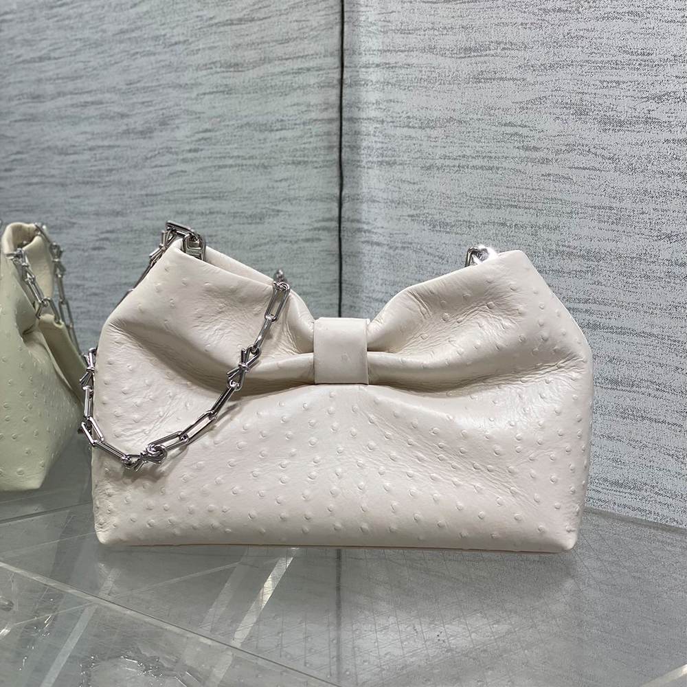 Medium Dior Bow Bag