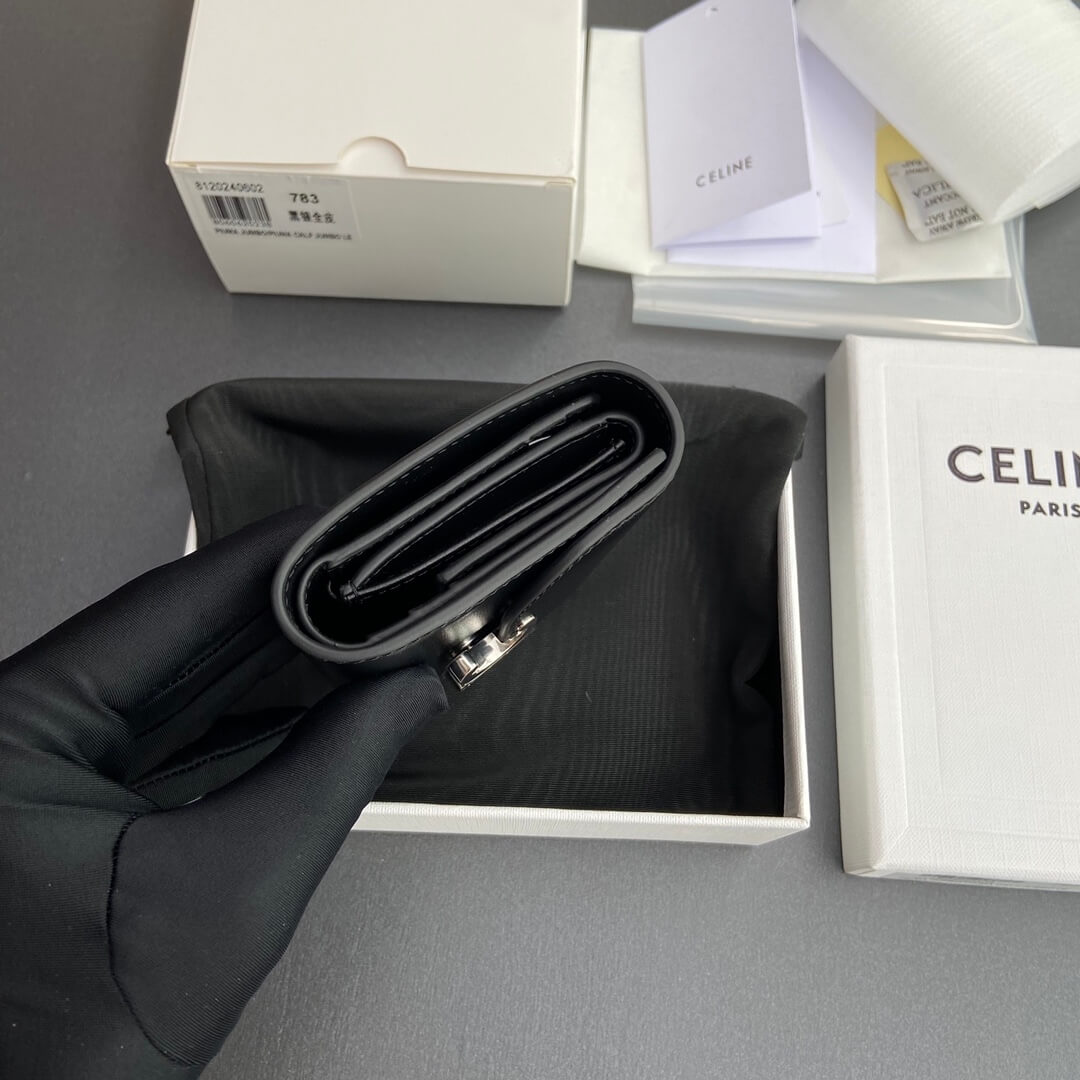Celine Small Flap Wallet Triomphe