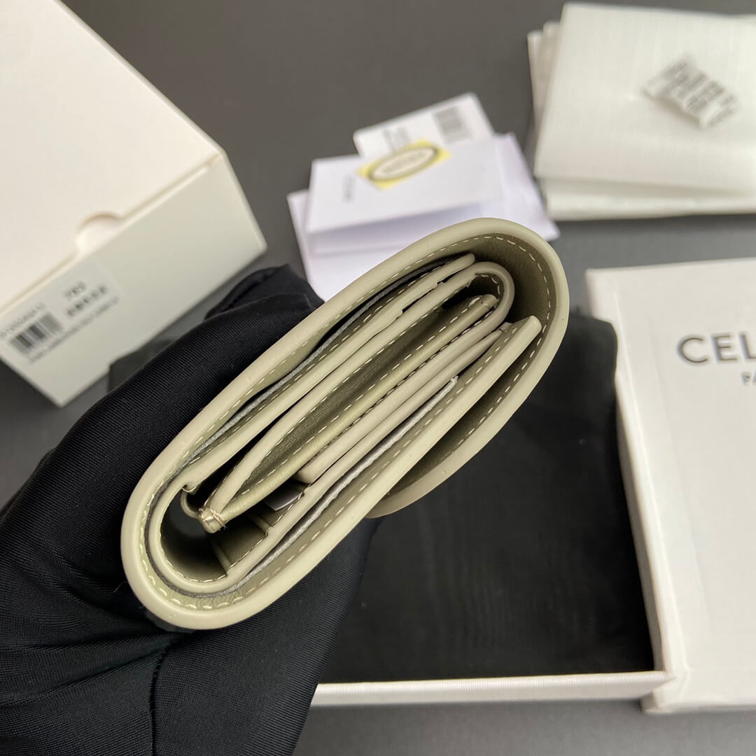 Celine Small Flap Wallet Triomphe