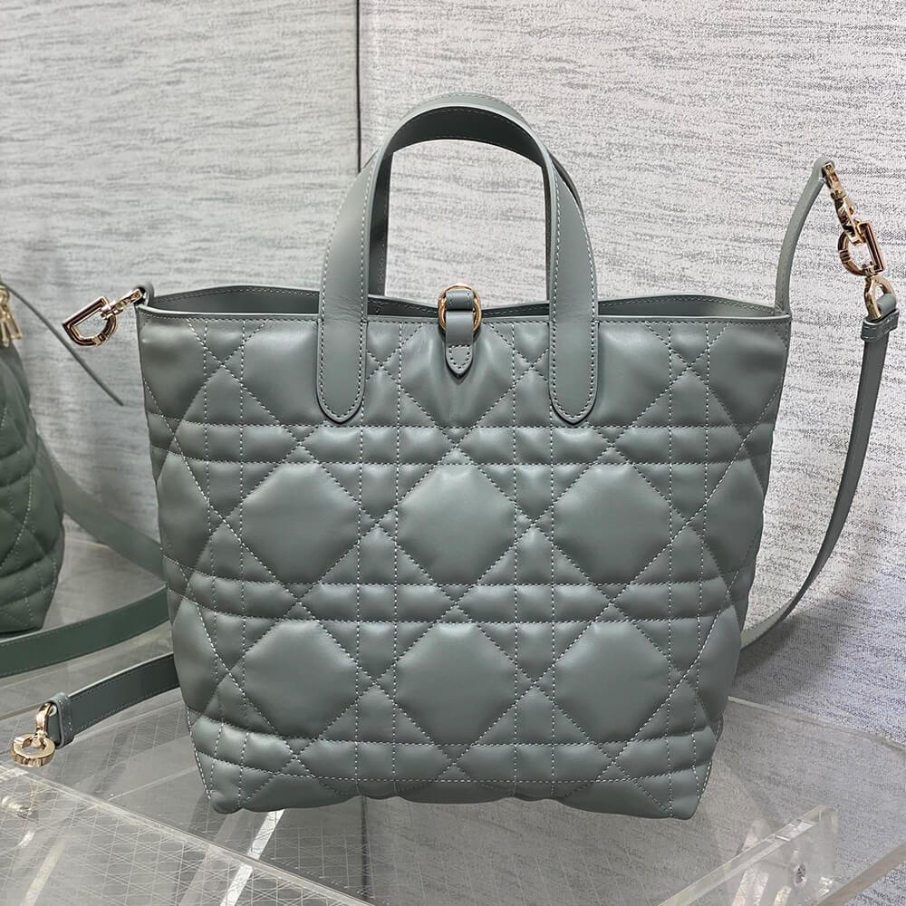 Dior Medium Toujours Vertical