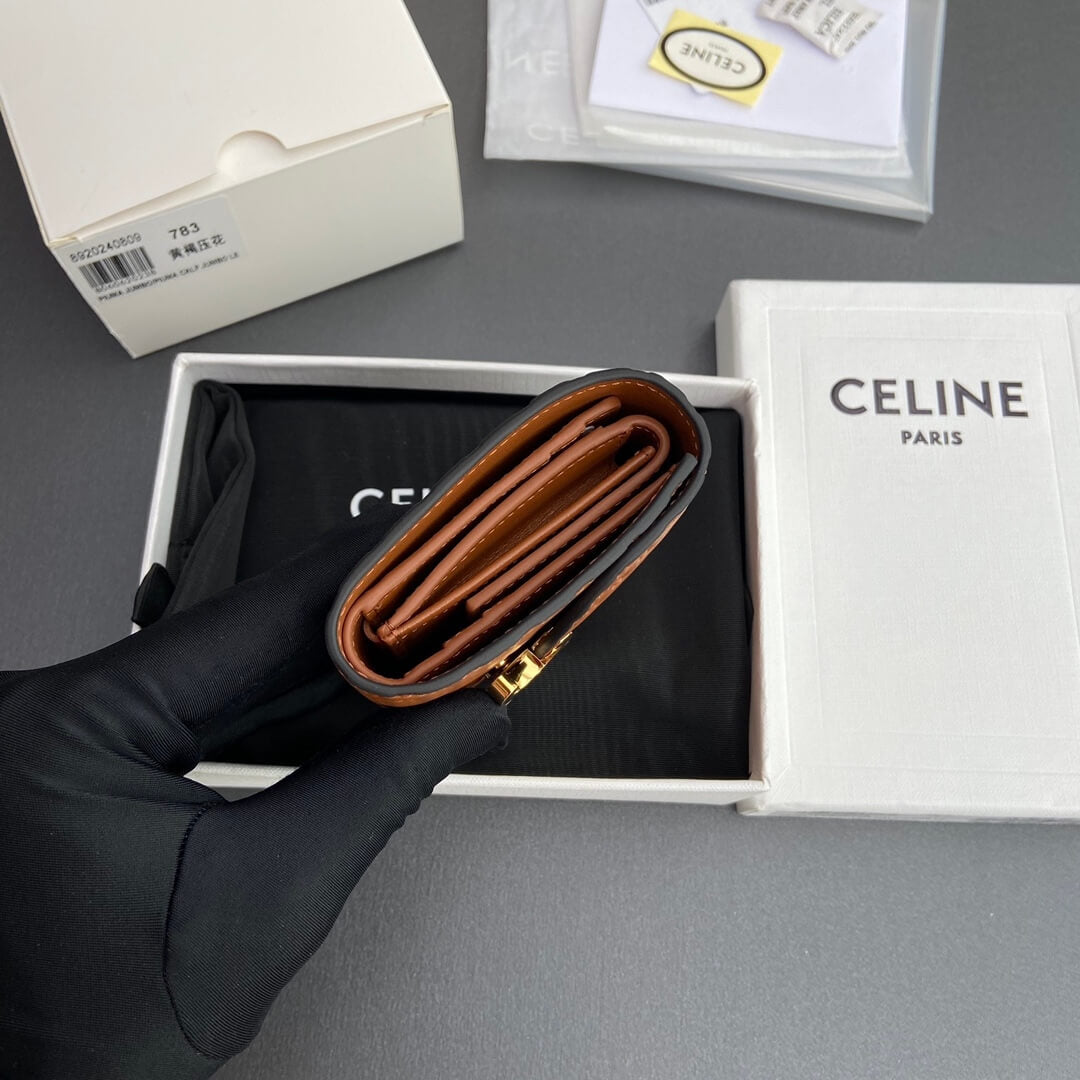 Celine Small Flap Wallet Triomphe
