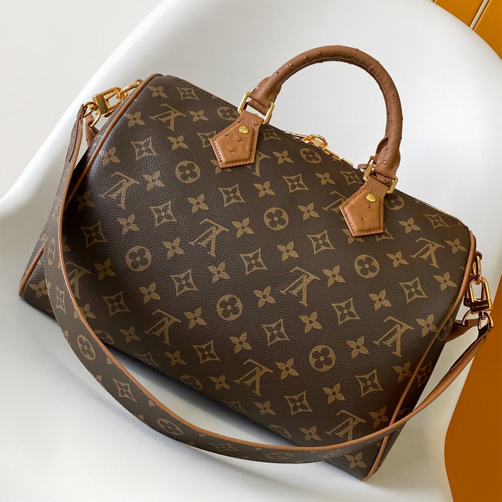 Louis Vuitton Speedy Soft 30