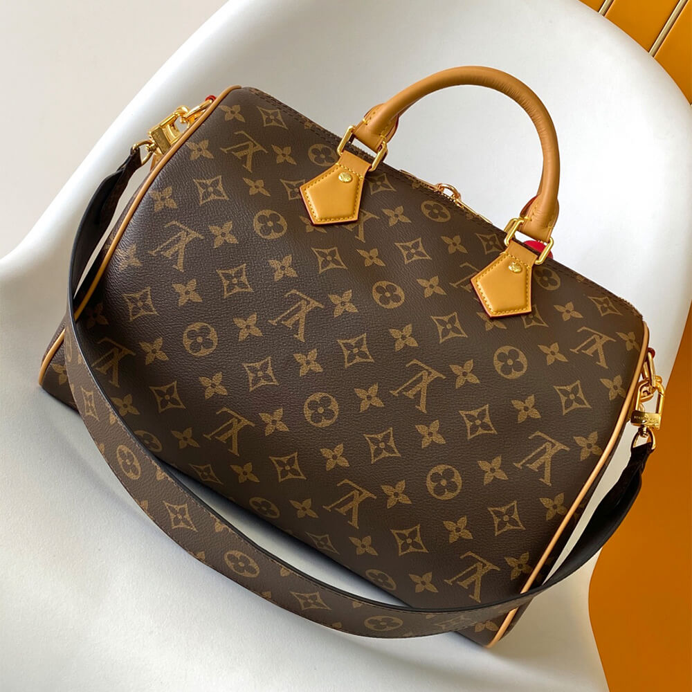 Louis Vuitton Speedy Soft 30
