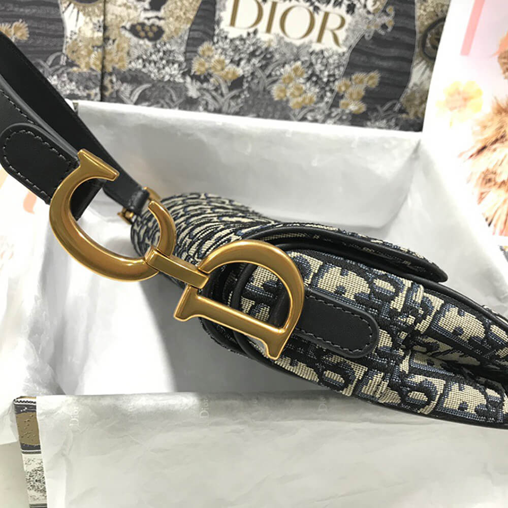 Dior Saddle