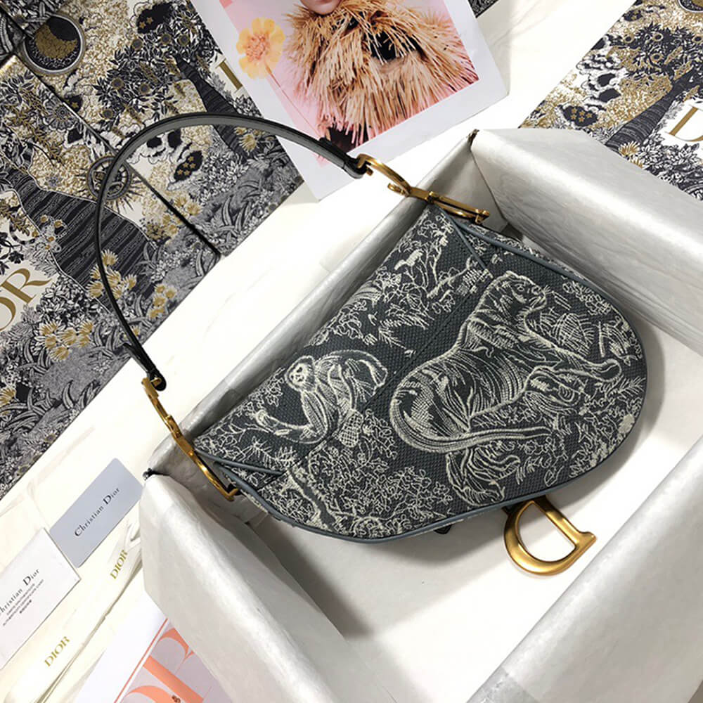 Dior Saddle