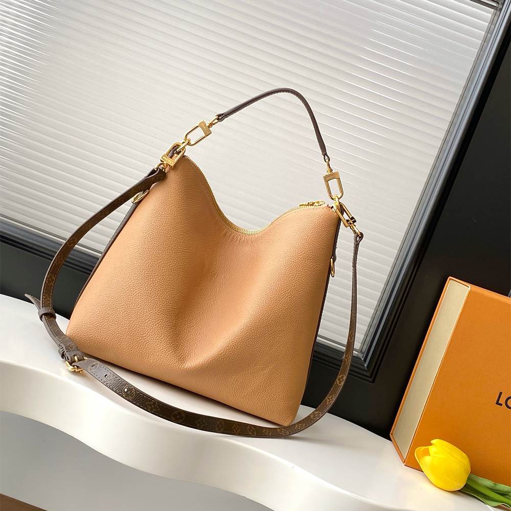 Louis Vuitton Multipass
