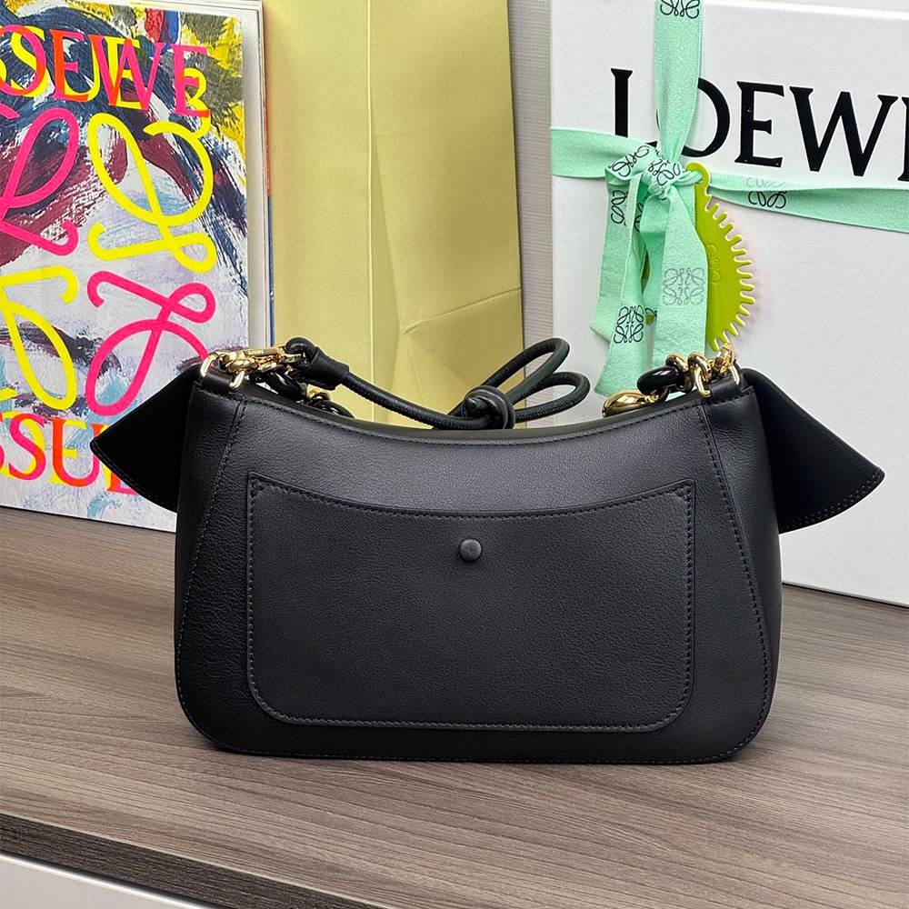 Loewe Medium Ola bag