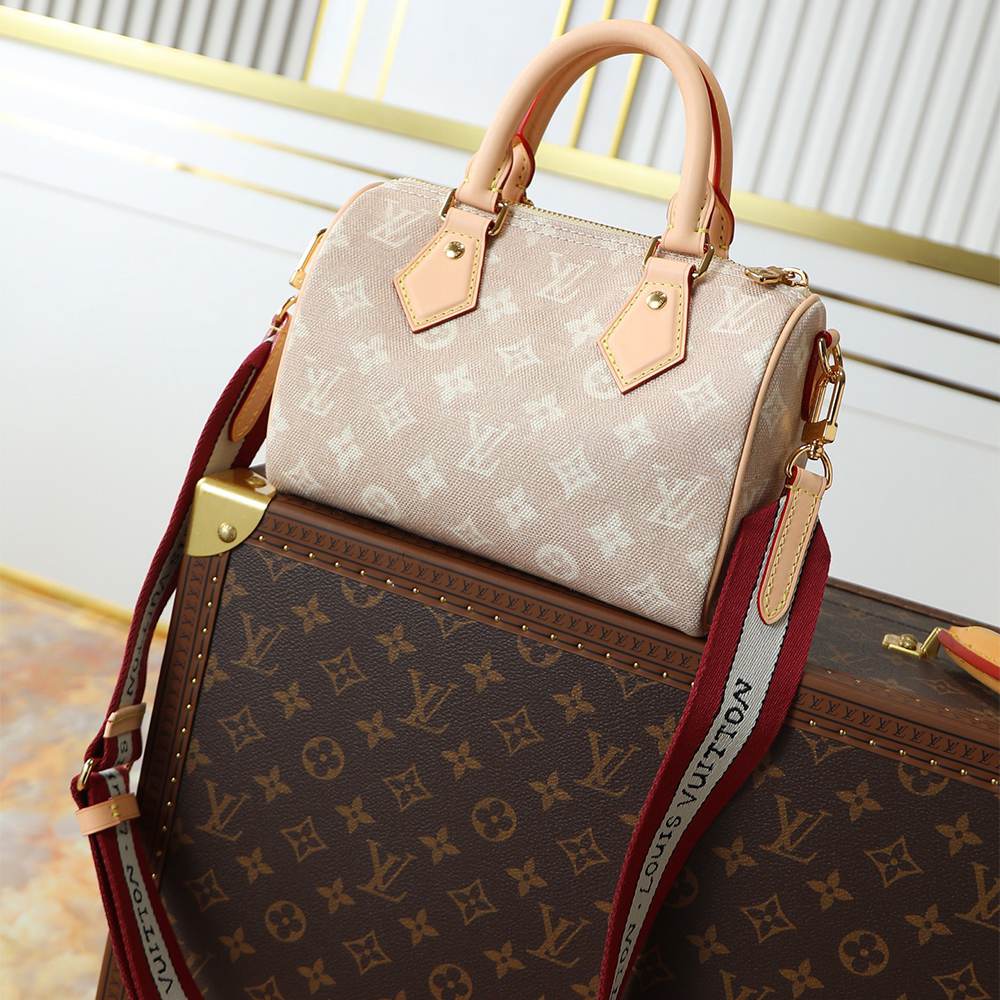 Louis Vuitton Speedy Bandoulière 20