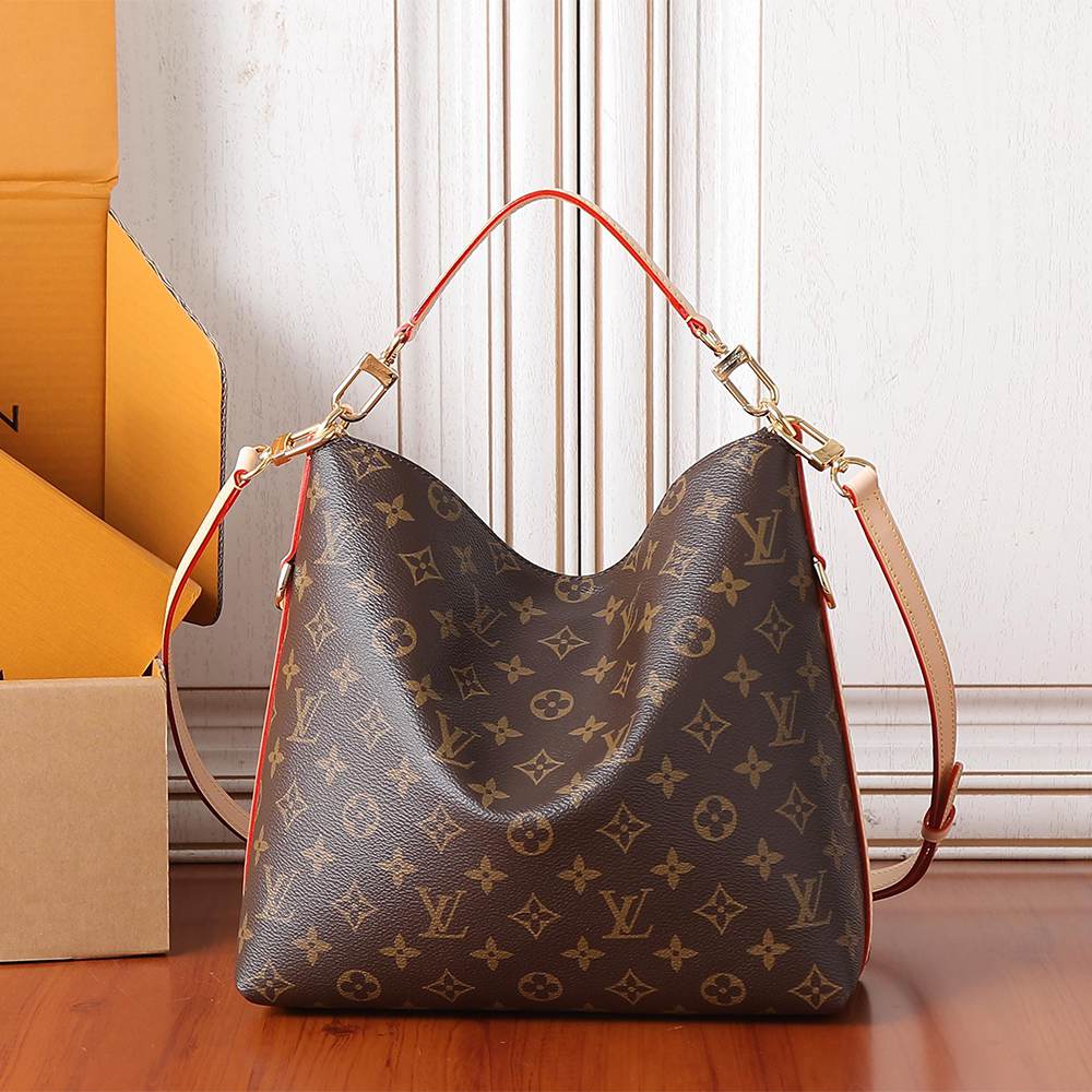 Louis Vuitton Multipass