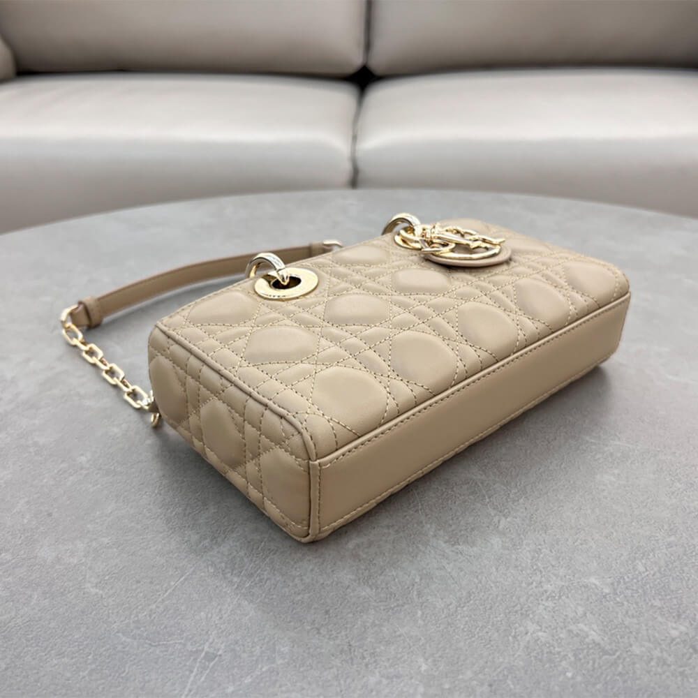 Dior Small Lady D-Joy