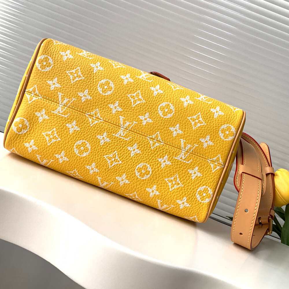 Louis Vuitton Speedy P9 Bandoulière 25