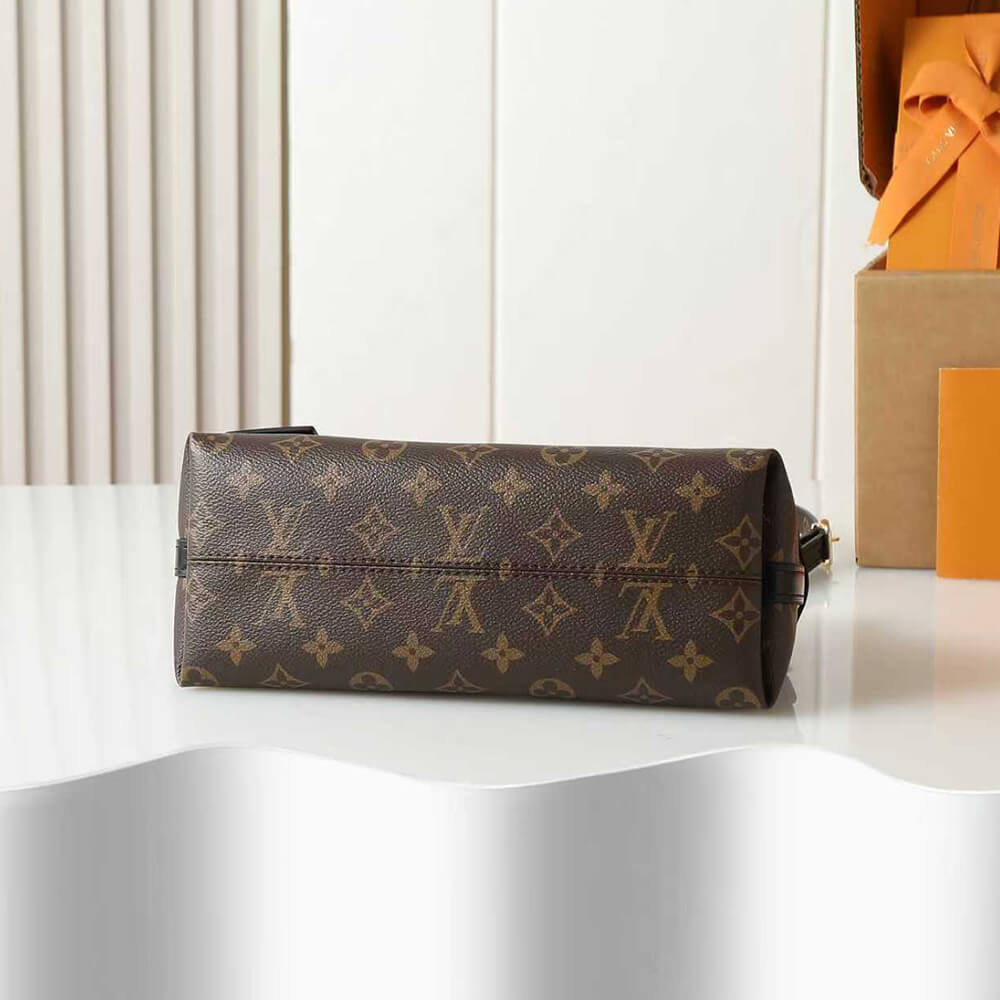 Louis Vuitton CarryAll BB