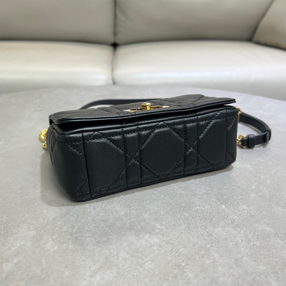 Dior Small Soft Caro