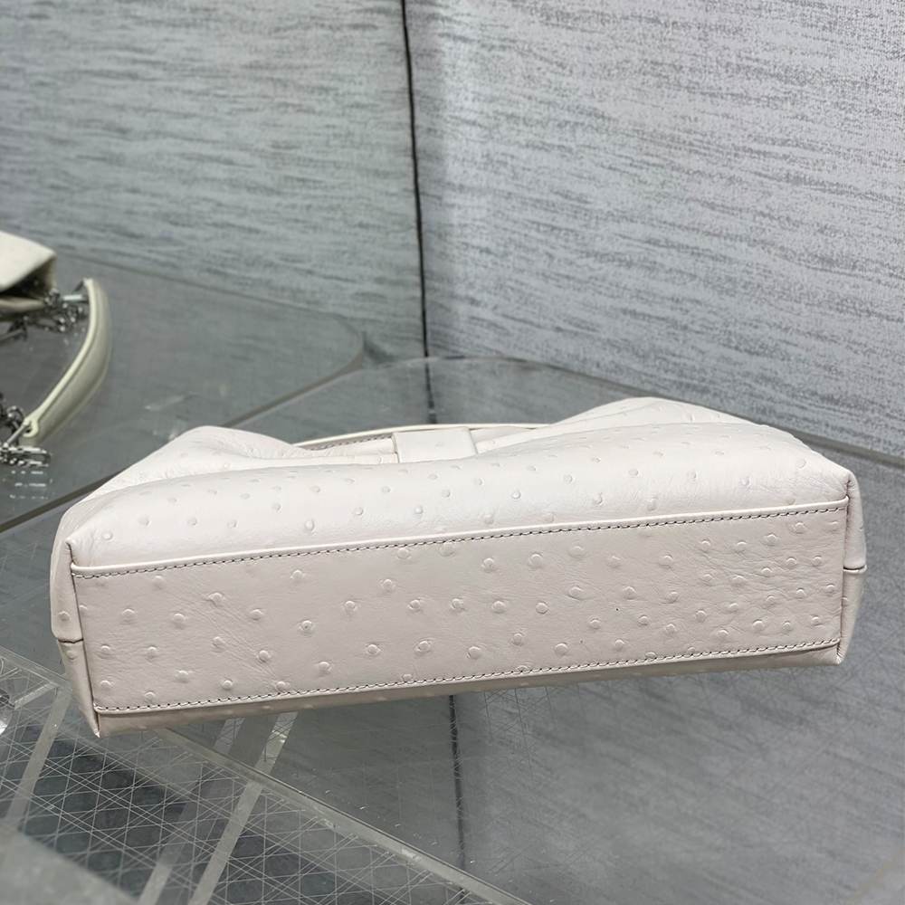 Medium Dior Bow Bag
