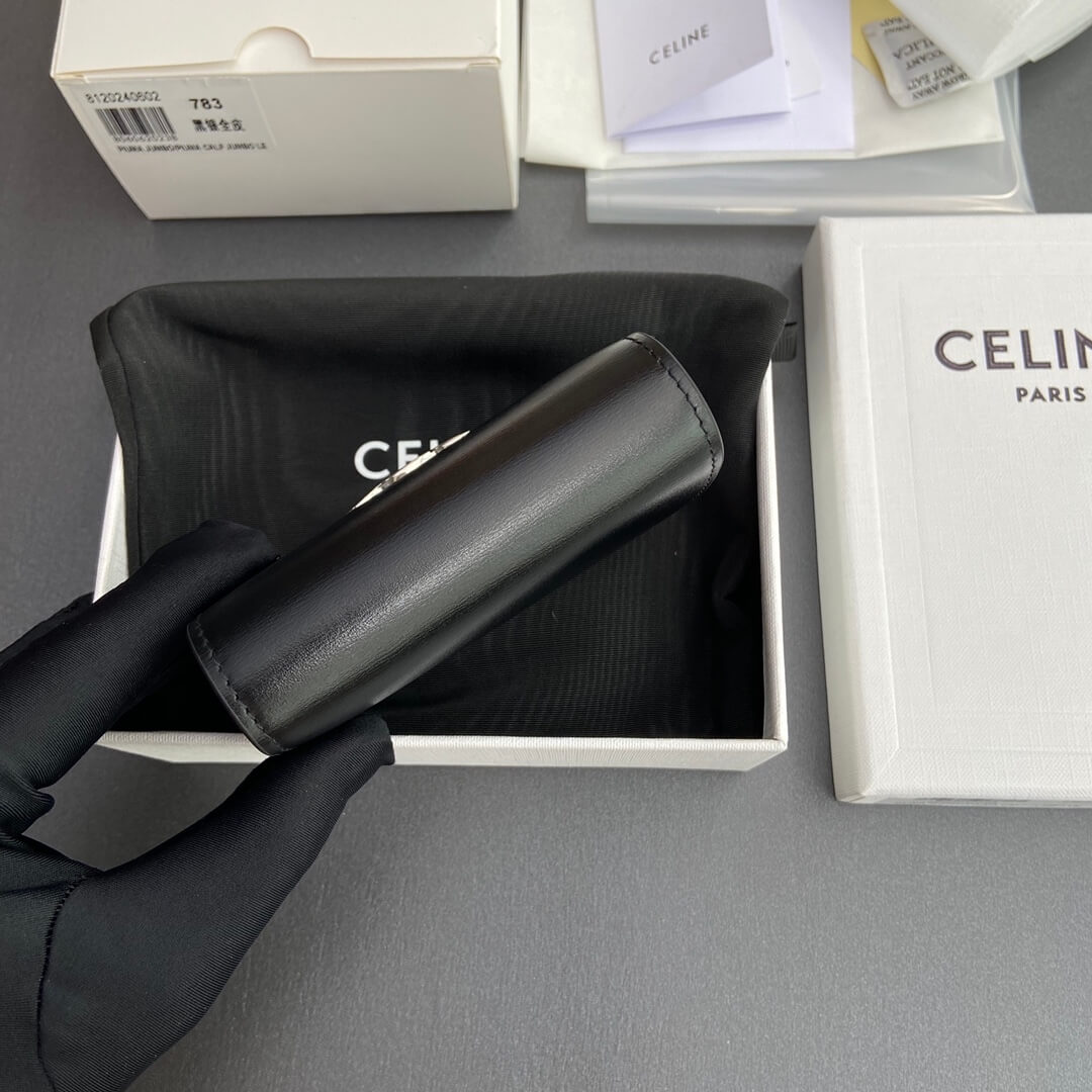 Celine Small Flap Wallet Triomphe
