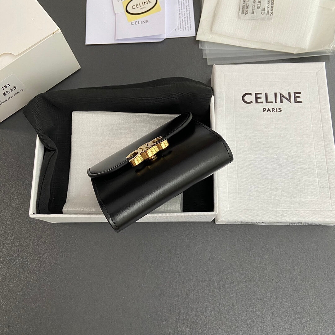 Celine Small Flap Wallet Triomphe