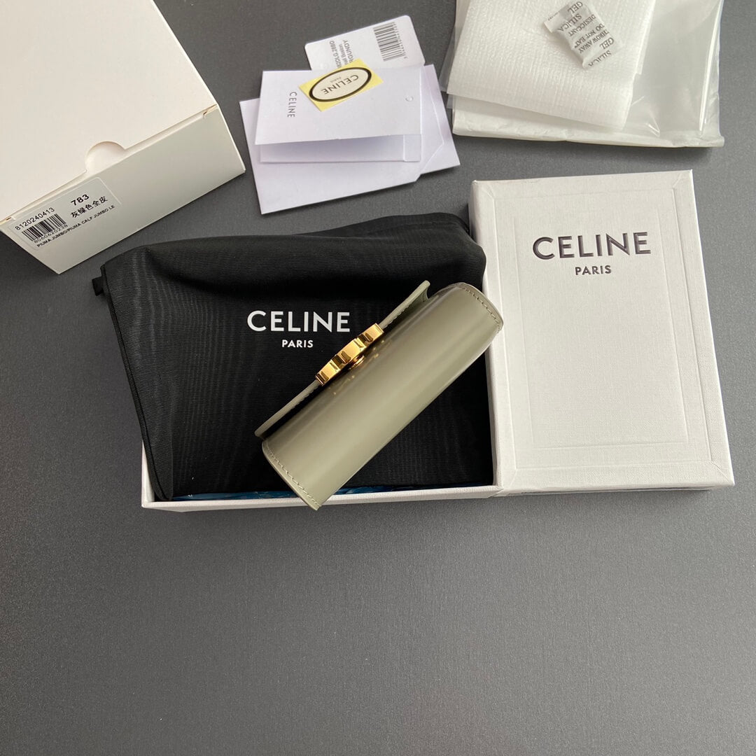Celine Small Flap Wallet Triomphe