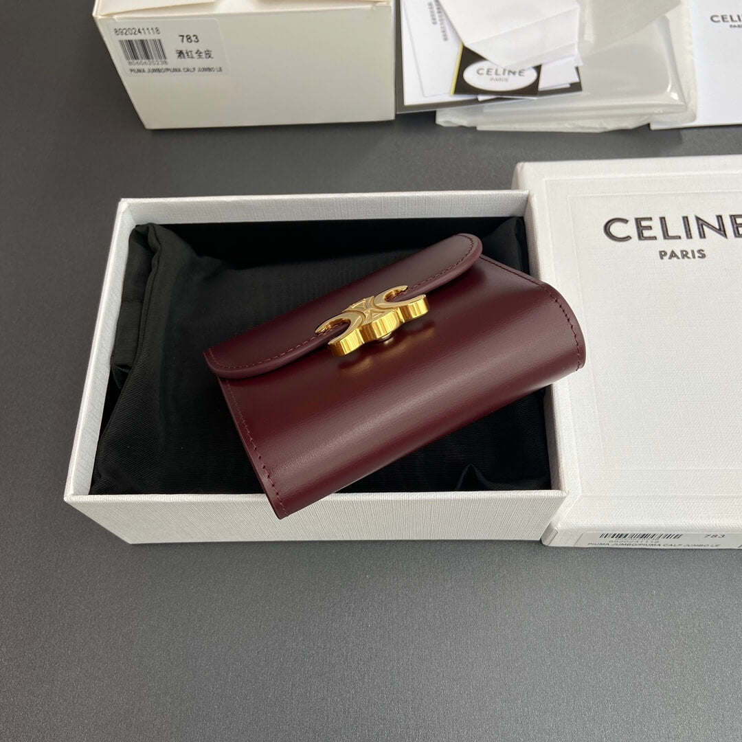 Celine Small Flap Wallet Triomphe