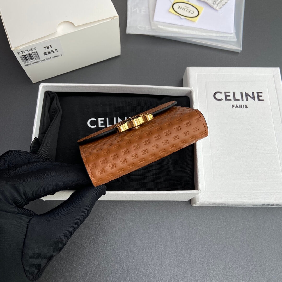 Celine Small Flap Wallet Triomphe