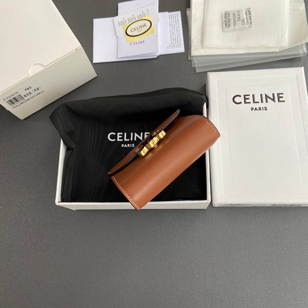 Celine Small Flap Wallet Triomphe