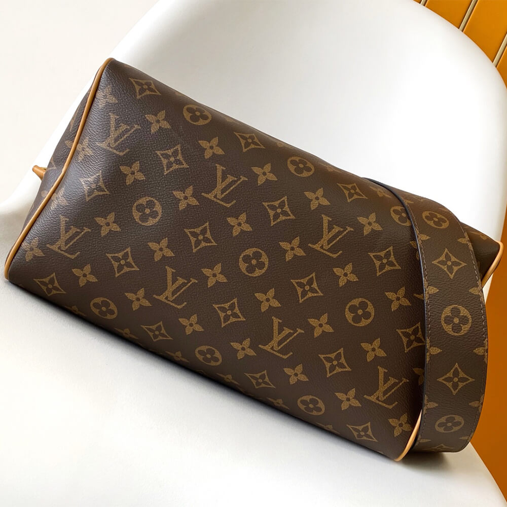 Louis Vuitton Speedy Soft 30