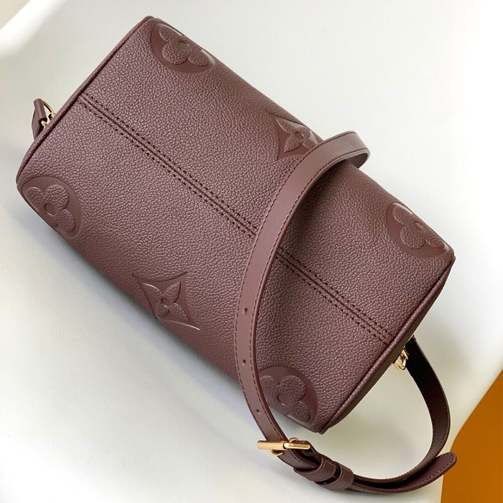 Louis Vuitton Speedy Bandoulière 25