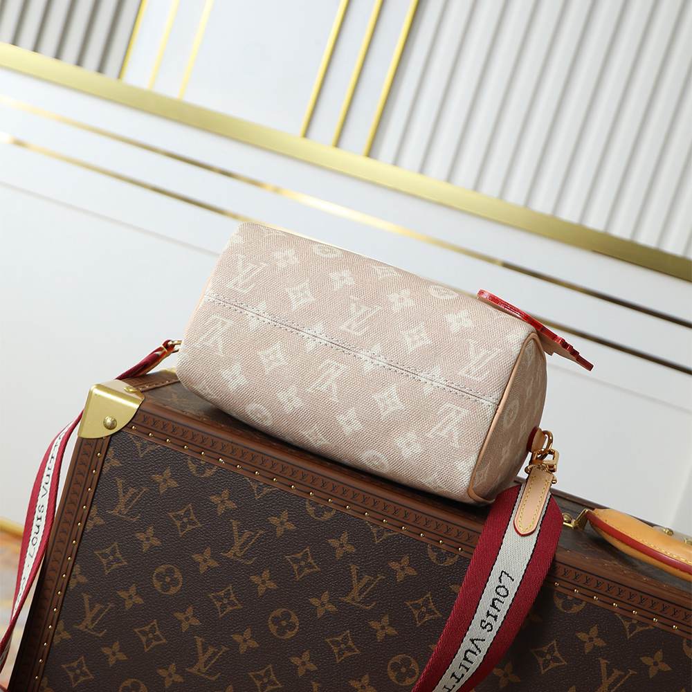 Louis Vuitton Speedy Bandoulière 20