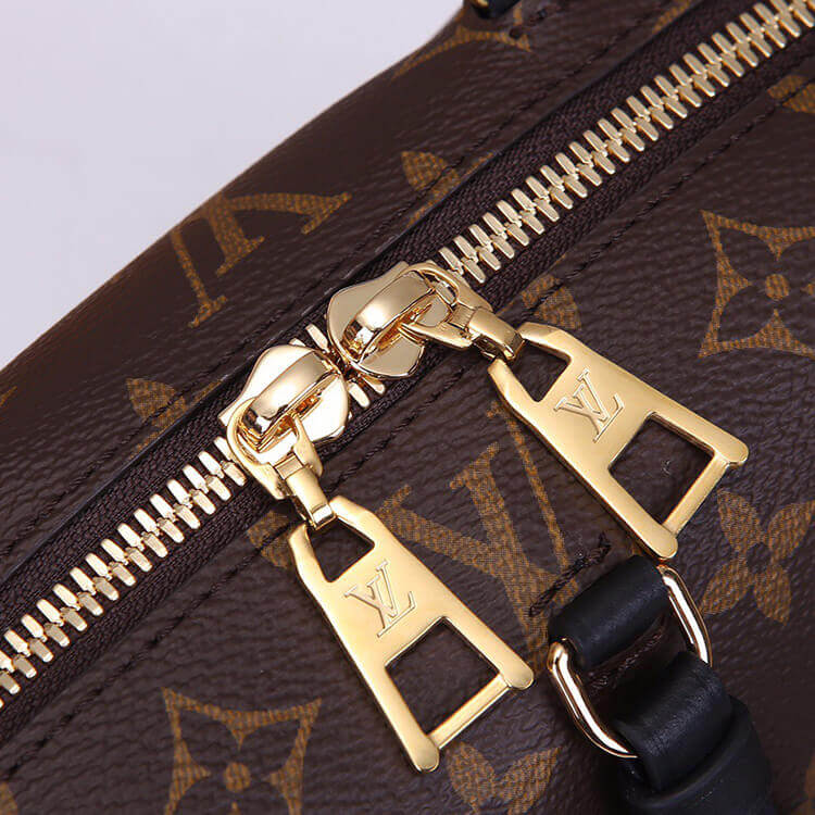 Louis Vuitton Petite Malle Souple